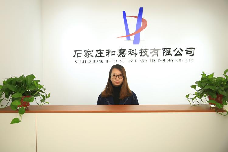 自然人控股的有限责任公司责任如何界定?