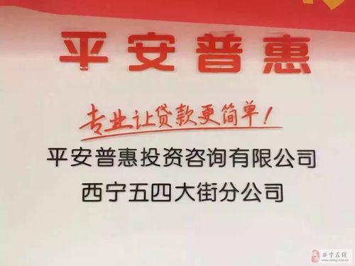 平安惠普投资咨询有限公司