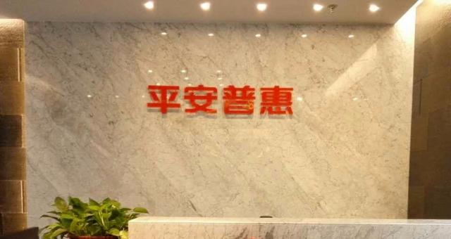 平安惠普投资咨询有限公司