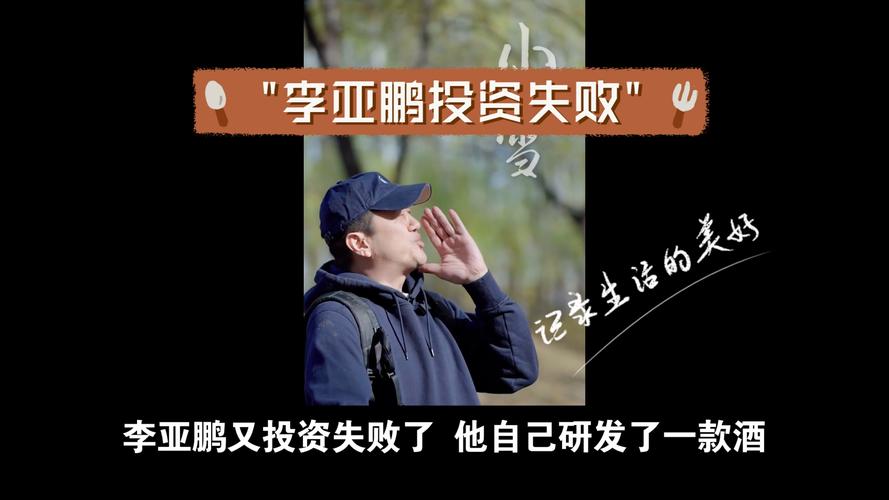 投资失败后上诉平台,责任该谁担?