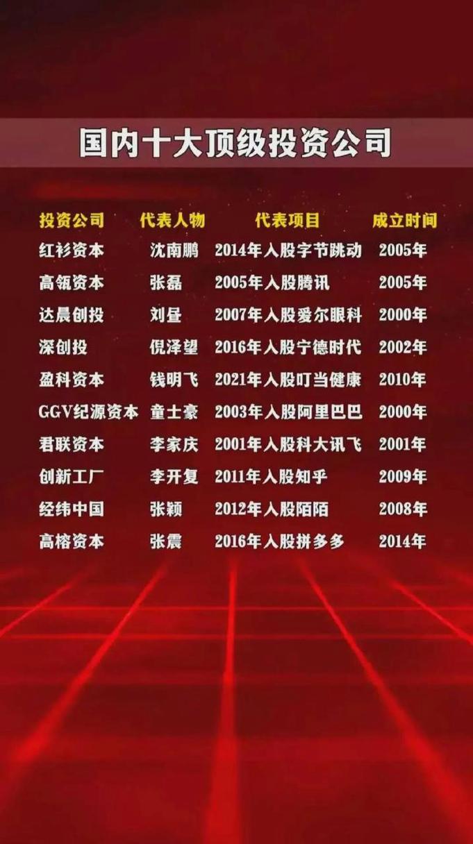 个人投资与公司投资,选哪种更优?