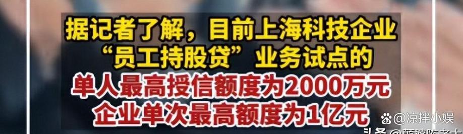 上海 投资 公司 贷款