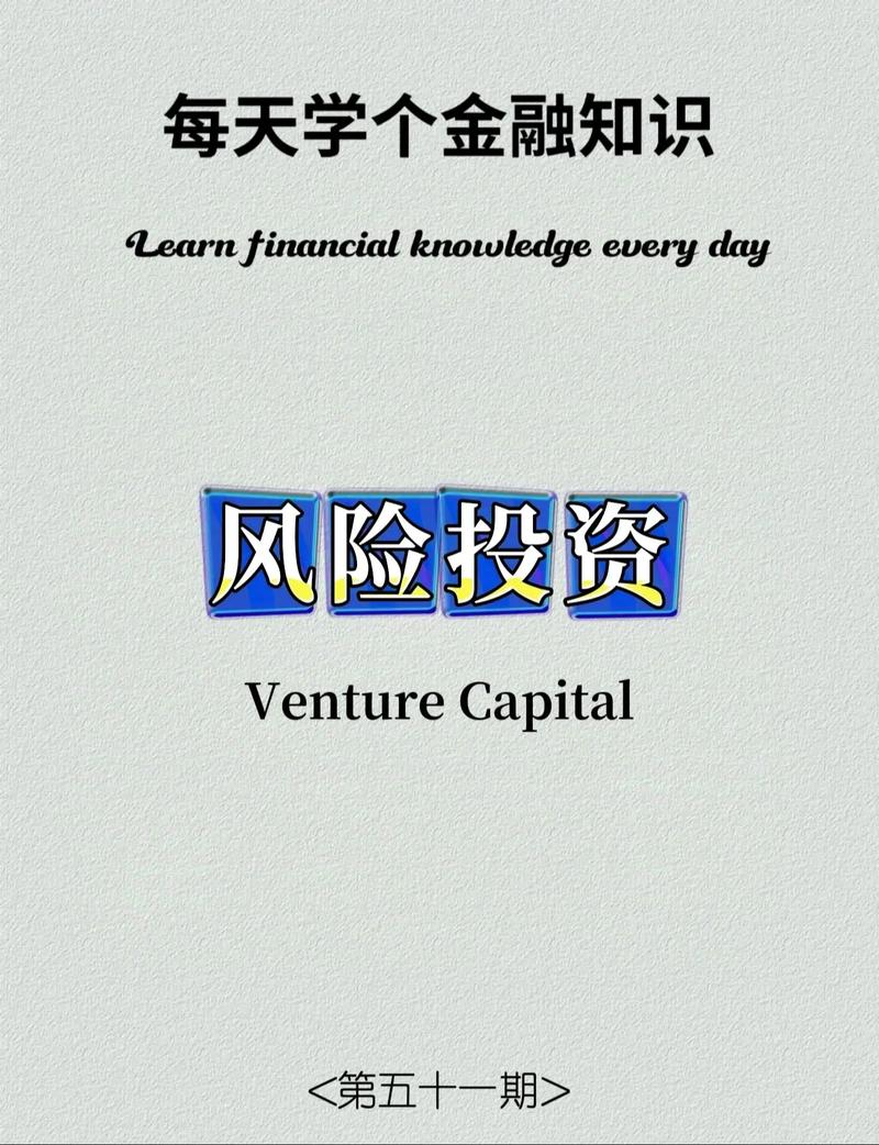 风险投资是是什么投资