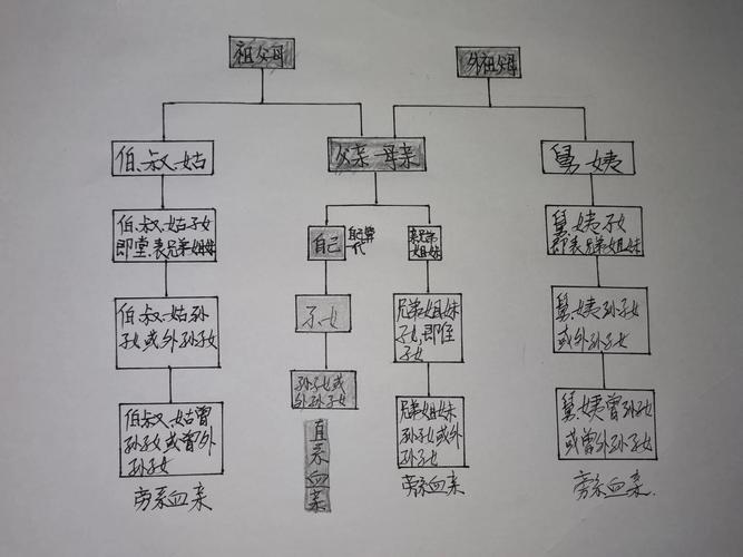 直系亲属范围法律如何界定?