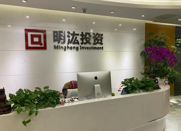 政府投资国有投资公司,如何高效运作?