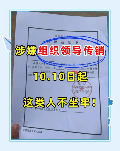 传销法律定义224条具体指什么?