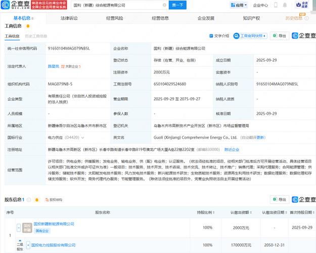 新疆投资公司注册条件有哪些？