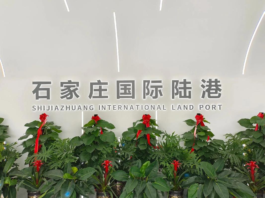 石家庄正规投资公司有哪些?