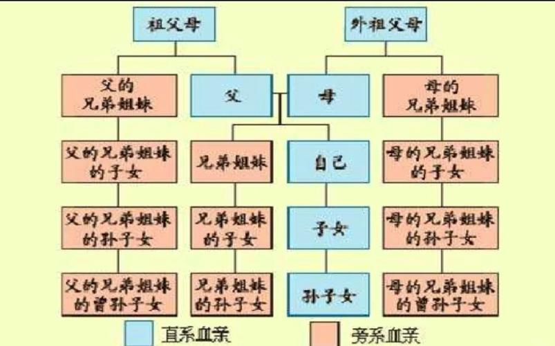 直系亲属法律定义范围包括哪些?