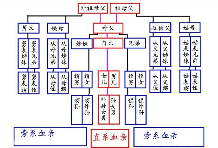 直系亲属法律定义范围包括哪些?
