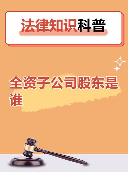 股东出资与投资的区别