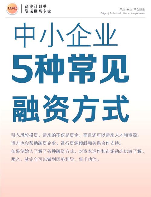 风险投资融资公司案例有何关键启示?