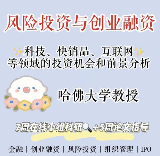 风险投资融资公司案例有何关键启示?