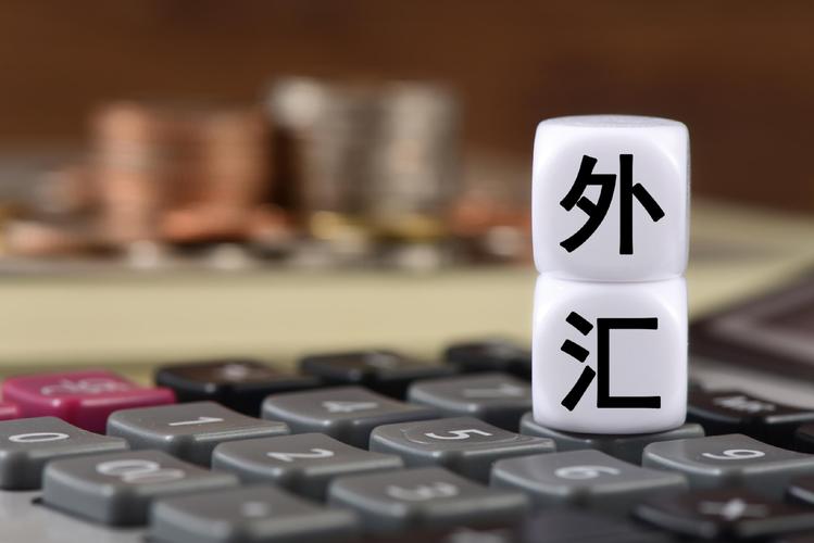 广州外汇局如何监管境外投资?