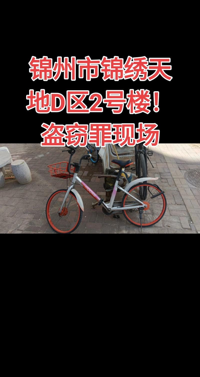 私自锁车违反什么法律?