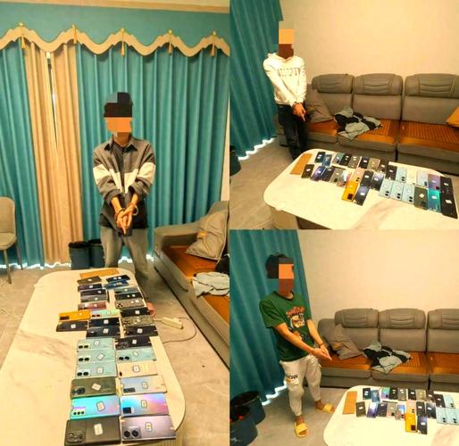 儋州公布诈骗照片,隐私与人权如何平衡?