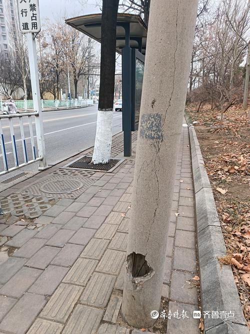 废弃电线杆归谁管?法律规定责任方是谁?