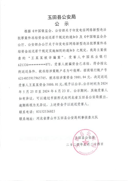 诈骗案公安局为何要私了?