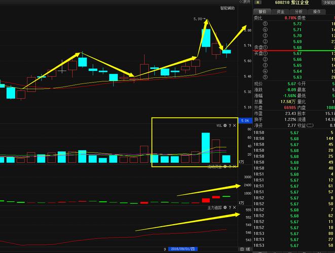 湖南青龙投资非法融资,资金链断裂谁担责?