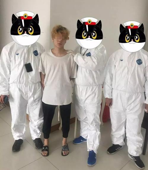 珠海张甲俊金融诈骗案,如何骗取资金?