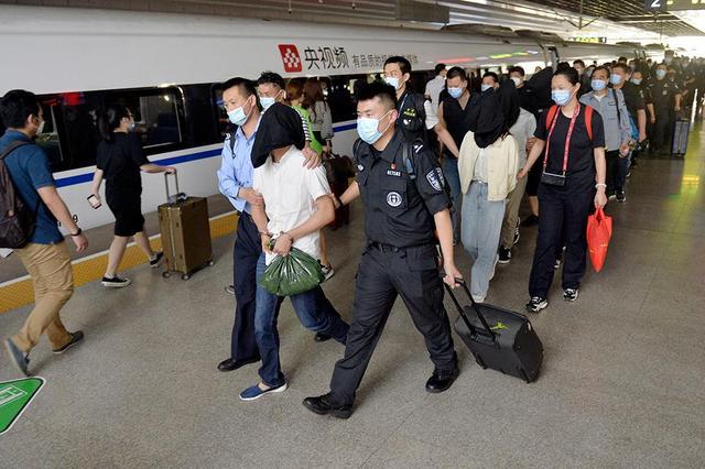 珠海张甲俊金融诈骗案,如何骗取资金?