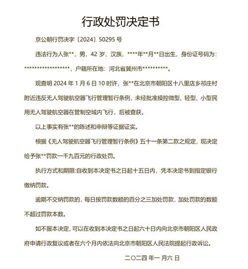 坐飞机逃票会面临哪些法律后果?