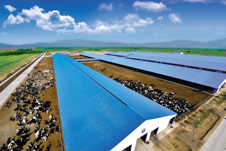 兰州大畜投资有限公司有何业务动向?