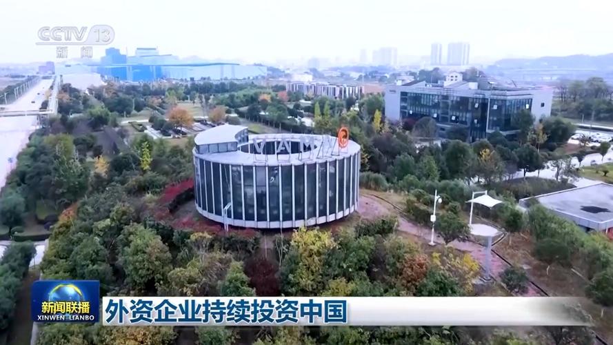 国企职工对外投资,合规与风险如何平衡?