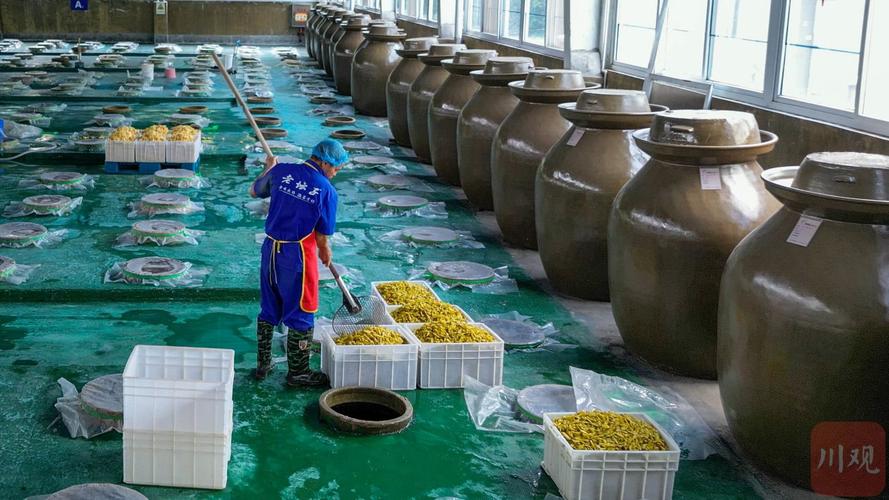 调味品厂投资多少?