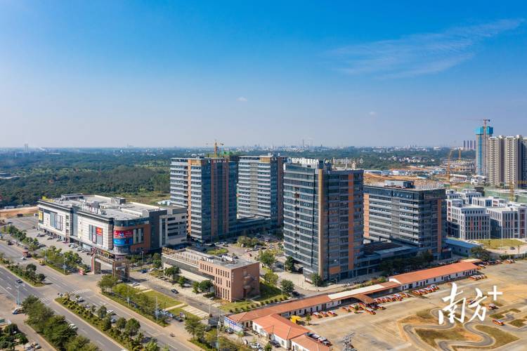 广东电白建设集团如何实施诈骗?