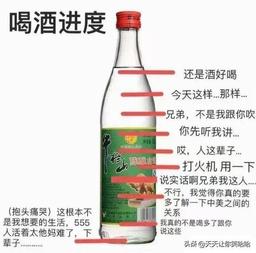 喝酒致死,谁该担责?