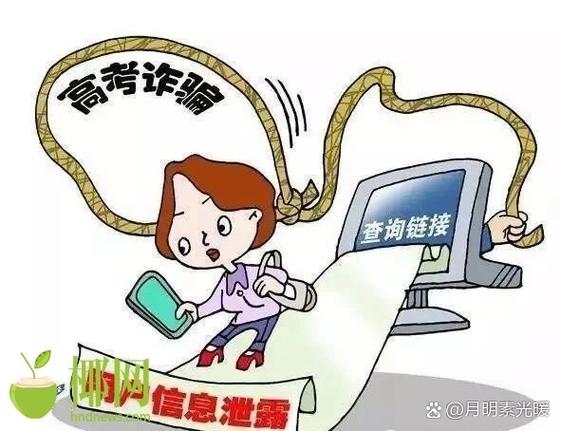 东方市网络诈骗为何频发?