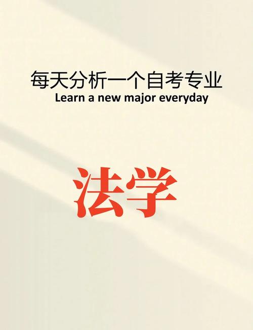 法硕法学考公,岗位选择与备考策略如何优化?