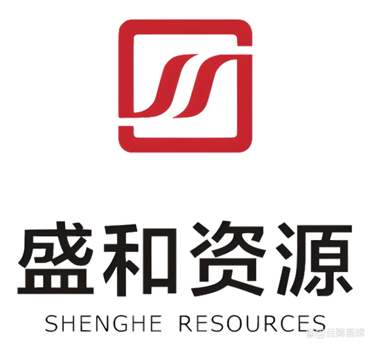 北京盛和投资有限公司背景如何?