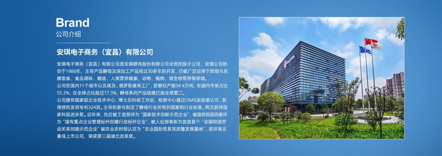 森融投资担保有限公司靠什么立足?