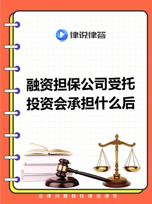 融资担保公司法律风险如何防控？