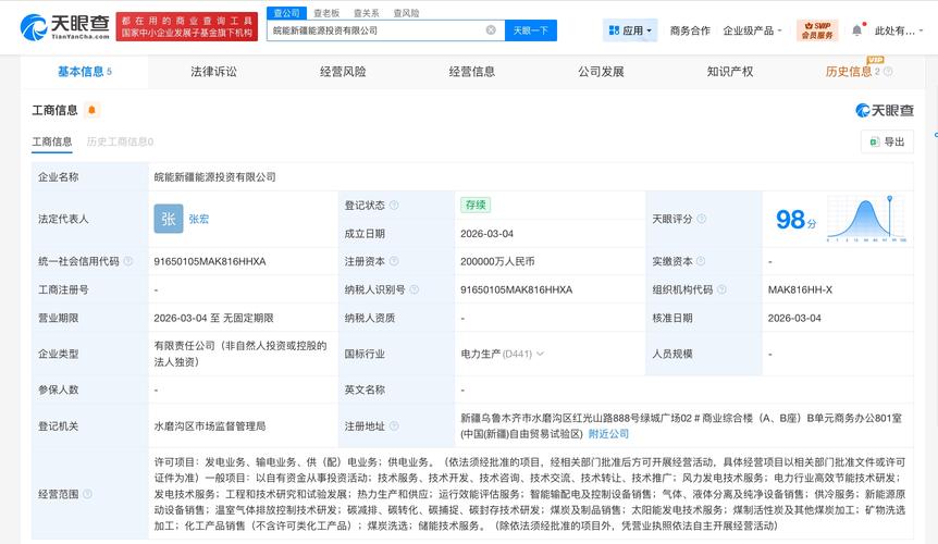 新疆投资公司注册有何流程与政策？