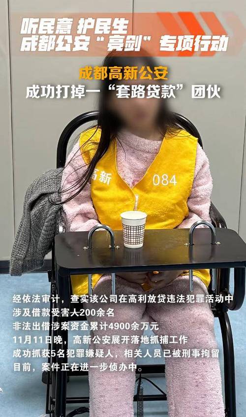 成都公司贷款诈骗案，如何防范与追责？