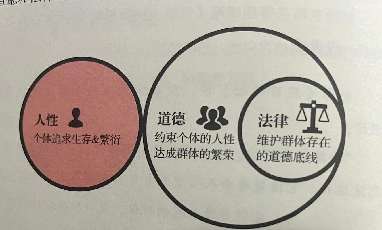 法律与道德的关系,究竟该如何界定?